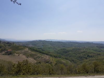 Degustácia vína – Goriška Brda